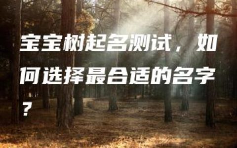 宝宝树起名测试，如何选择最合适的名字？