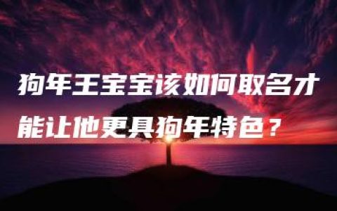 狗年王宝宝该如何取名才能让他更具狗年特色？