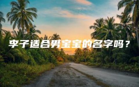 李子适合男宝宝的名字吗？