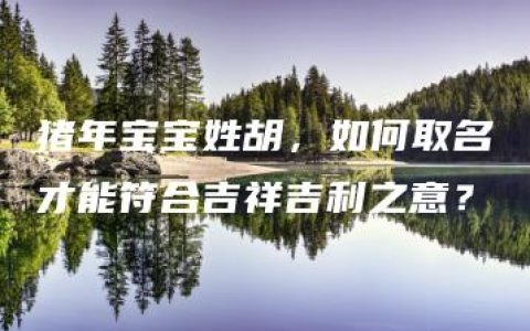 猪年宝宝姓胡，如何取名才能符合吉祥吉利之意？