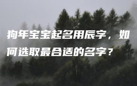 狗年宝宝起名用辰字，如何选取最合适的名字？