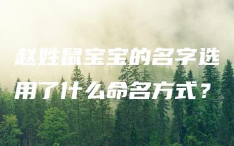 赵姓鼠宝宝的名字选用了什么命名方式？