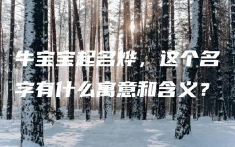 牛宝宝起名烨，这个名字有什么寓意和含义？