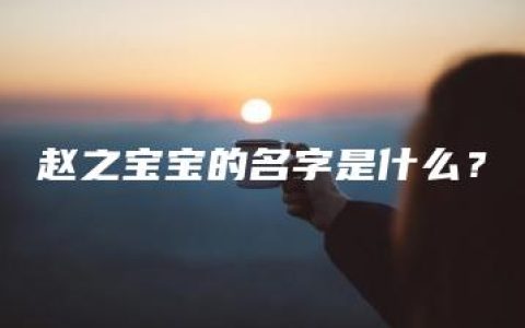 赵之宝宝的名字是什么？