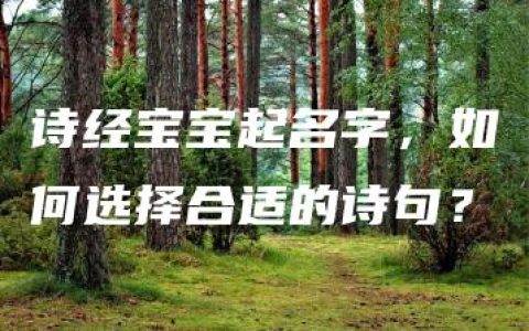 诗经宝宝起名字，如何选择合适的诗句？