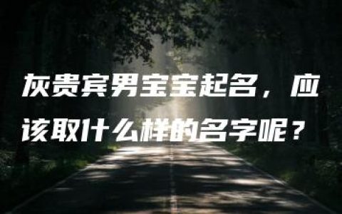 灰贵宾男宝宝起名，应该取什么样的名字呢？