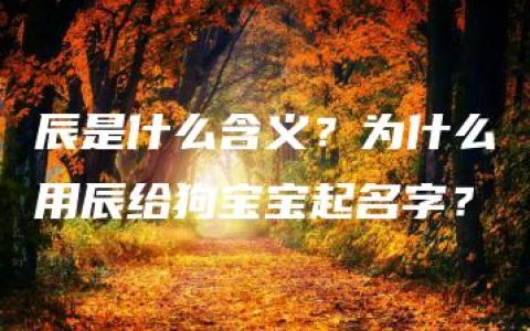 辰是什么含义？为什么用辰给狗宝宝起名字？