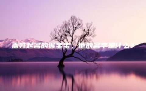 盖姓起名的猴宝宝，他的名字是什么？