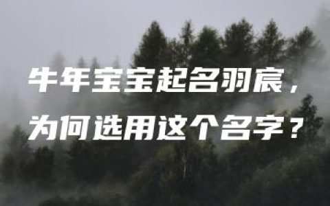 牛年宝宝起名羽宸，为何选用这个名字？