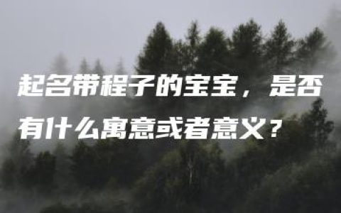 起名带程子的宝宝，是否有什么寓意或者意义？