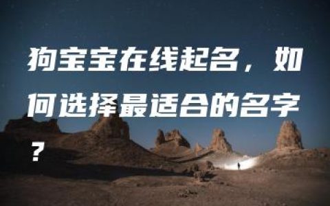 狗宝宝在线起名，如何选择最适合的名字？