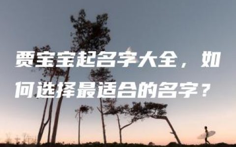 贾宝宝起名字大全，如何选择最适合的名字？