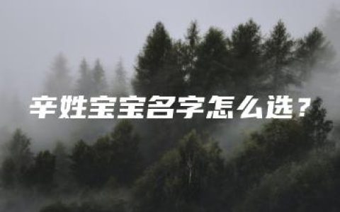 辛姓宝宝名字怎么选？