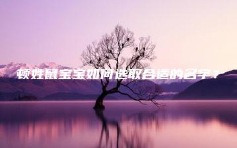 顿姓鼠宝宝如何选取合适的名字？