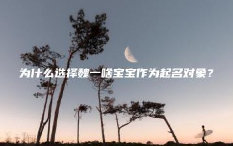 为什么选择魏一啥宝宝作为起名对象？