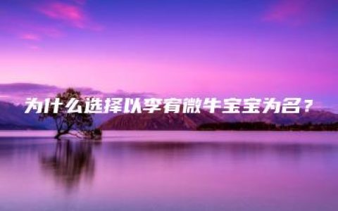 为什么选择以李宥微牛宝宝为名？