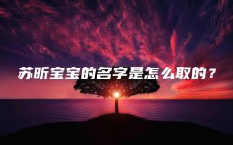 苏昕宝宝的名字是怎么取的？