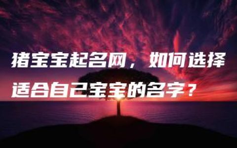 猪宝宝起名网，如何选择适合自己宝宝的名字？