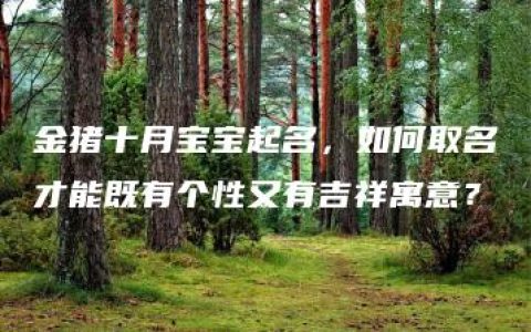 金猪十月宝宝起名，如何取名才能既有个性又有吉祥寓意？