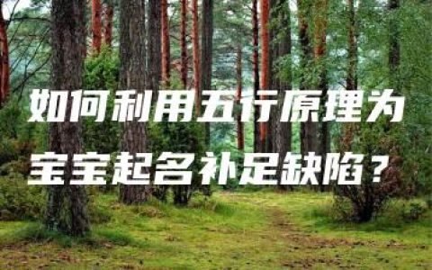 如何利用五行原理为宝宝起名补足缺陷？