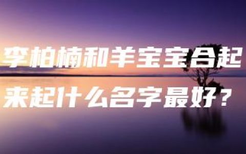 李柏楠和羊宝宝合起来起什么名字最好？