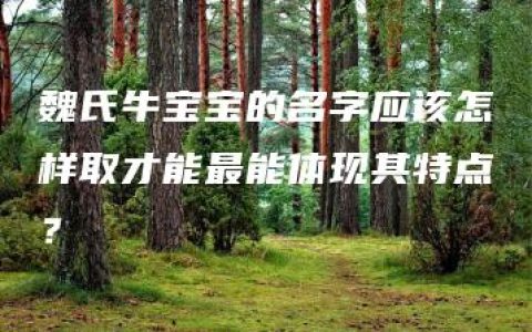 魏氏牛宝宝的名字应该怎样取才能最能体现其特点？