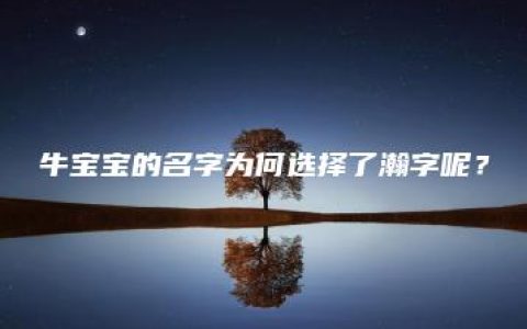 牛宝宝的名字为何选择了瀚字呢？