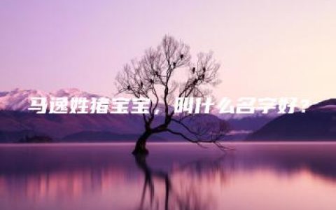 马逸姓猪宝宝，叫什么名字好？