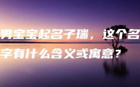 男宝宝起名子瑞，这个名字有什么含义或寓意？