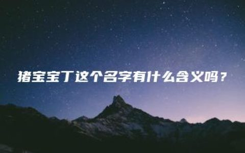 猪宝宝丁这个名字有什么含义吗？