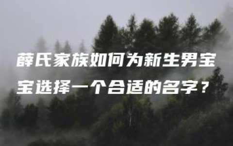 薛氏家族如何为新生男宝宝选择一个合适的名字？