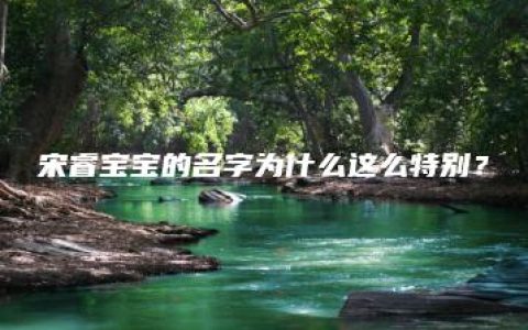 宋睿宝宝的名字为什么这么特别？