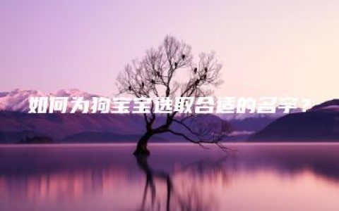 如何为狗宝宝选取合适的名字？