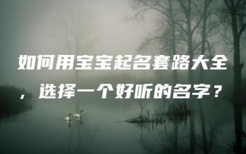 如何用宝宝起名套路大全，选择一个好听的名字？