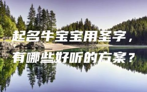 起名牛宝宝用圣字，有哪些好听的方案？