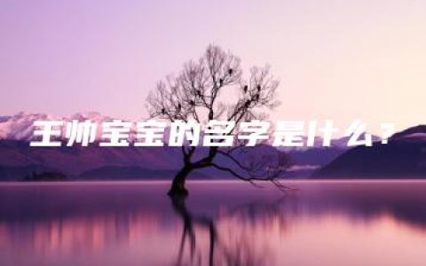 王帅宝宝的名字是什么？