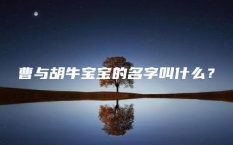 曹与胡牛宝宝的名字叫什么？