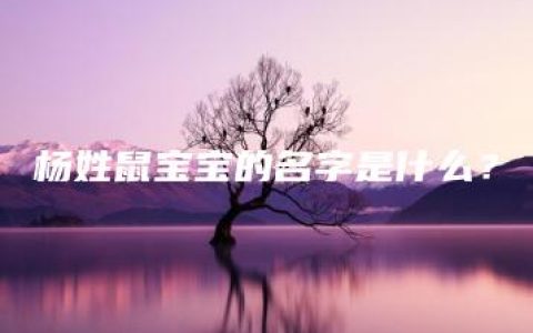 杨姓鼠宝宝的名字是什么？