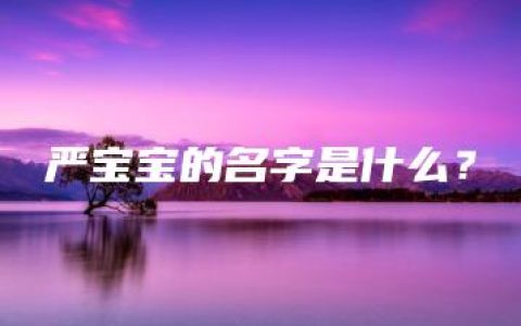 严宝宝的名字是什么？