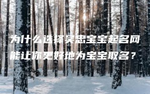 为什么选择吴忠宝宝起名网能让你更好地为宝宝取名？