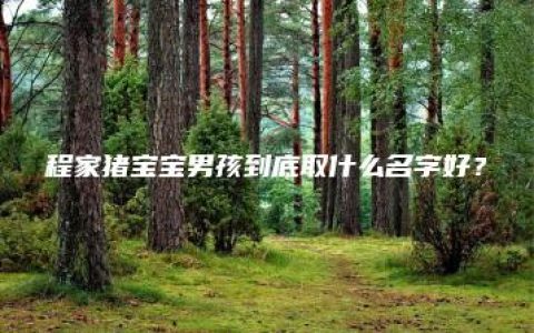 程家猪宝宝男孩到底取什么名字好？