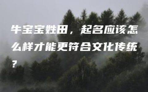 牛宝宝姓田，起名应该怎么样才能更符合文化传统？