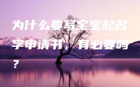 为什么要写宝宝起名字申请书，有必要吗？