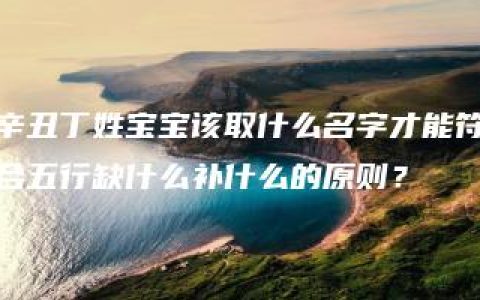 辛丑丁姓宝宝该取什么名字才能符合五行缺什么补什么的原则？