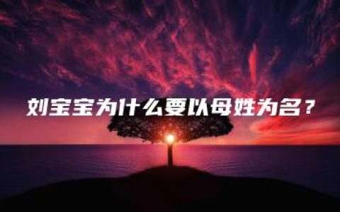 刘宝宝为什么要以母姓为名？