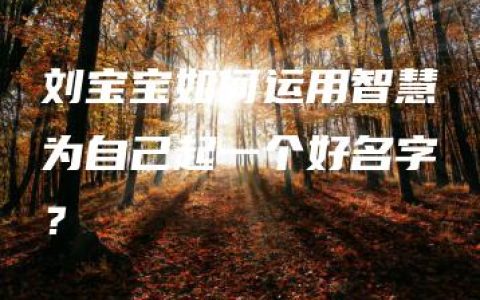 刘宝宝如何运用智慧为自己起一个好名字？