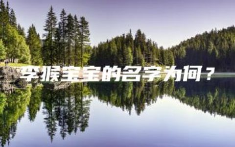 李猴宝宝的名字为何？