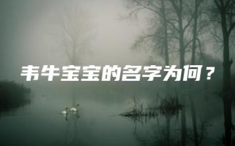 韦牛宝宝的名字为何？