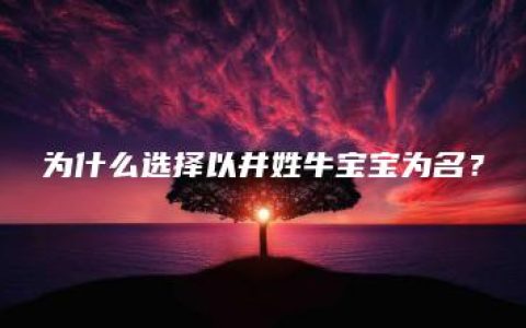 为什么选择以井姓牛宝宝为名？