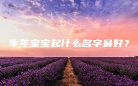 牛年宝宝起什么名字最好？